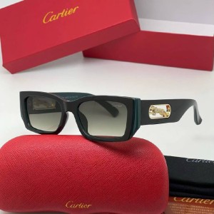 Очки Cartier A1613