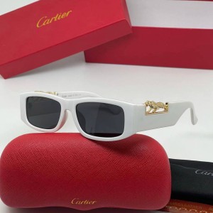 Очки Cartier A2046