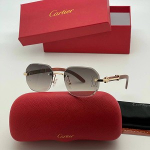 Очки Cartier A2637