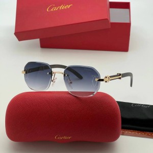 Очки Cartier A2638