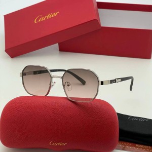 Очки Cartier A1034