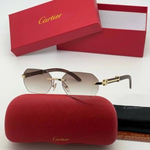 Очки Cartier A2120