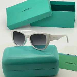 Очки Tiffany A2848