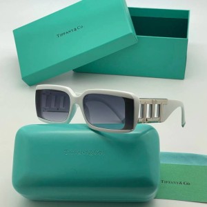 Очки Tiffany A2893