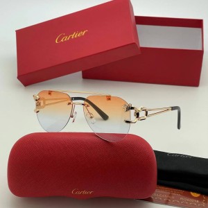 Очки Cartier A3418