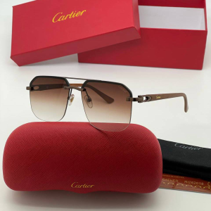 Очки Cartier A2219