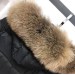 Пуховик Moncler D1001