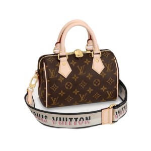 Сумка Louis Vuitton Speedy 20  K1189