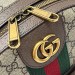 Рюкзак Gucci Ophidia GG K1012