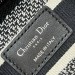 Сумка Christian Dior Lady D-Lite K1074