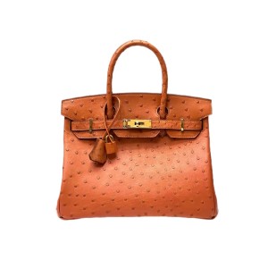 Сумка Hermes Birkin 30 K1301