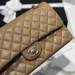 Сумка Chanel 2.55 Flap Bag L4731