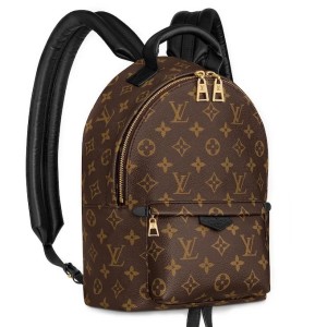 Рюкзак Louis Vuitton Palm Springs PM L4720