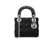 Сумка Christian Dior Lady R1042