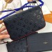 Сумка Louis Vuitton Felicie R1051