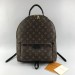 Рюкзак Louis Vuitton Palm Springs MM R1055