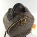 Рюкзак Louis Vuitton Palm Springs MM R1055