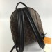 Рюкзак Louis Vuitton Palm Springs MM R1055