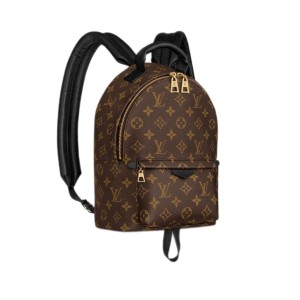 Рюкзак Louis Vuitton Palm Springs PM R1056