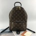 Рюкзак Louis Vuitton Palm Springs PM R1056