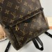 Рюкзак Louis Vuitton Palm Springs PM R1056