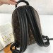 Рюкзак Louis Vuitton Palm Springs PM R1056