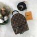 Рюкзак Louis Vuitton Palm Springs Mini R1057