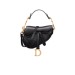 Сумка Christian Dior Saddle R1216