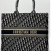 Сумка Christian Dior Book Tote R1954