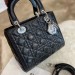 Сумка Christian Dior Lady R1461