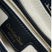 Сумка Christian Dior Saddle R1934