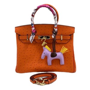 Сумка Hermes Birkin 30 R1662