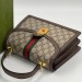 Сумка Gucci Ophidia R1532