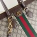 Сумка Gucci Ophidia GG R2023