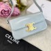 Сумка Celine Triomphe R2962