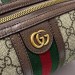 Косметичка Gucci Savoy RE3646