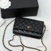 Сумка Chanel Woc R2949