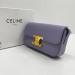 Сумка Celine Triomphe RP3804