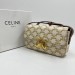 Сумка Celine Triomphe RP3810