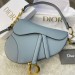 Сумка Christian Dior Saddle R2037