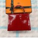 Сумка Hermes Kelly 25 R2223