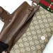 Сумка Gucci Dionysus R3330