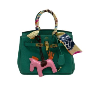 Сумка Hermes Birkin 25 R3490