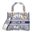 Сумка Christian Dior Lady D-Lite R2644