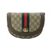 Сумка Gucci Ophidia GG R2985