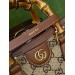 Сумка Gucci Diana R2107