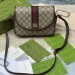 Сумка Gucci Ophidia GG R2165