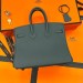 Сумка Hermes Birkin 25 R2197