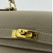 Сумка Hermes Kelly 25 Togo R2302