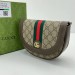 Сумка Gucci Ophidia GG R2985